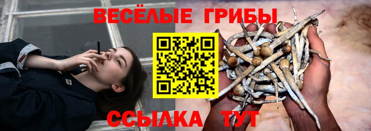 Усолье-Сибирское  Галлюциногенные грибы GOLDEN TEACHER  Галлюциногенные грибы мицелий  Вход с VPN 